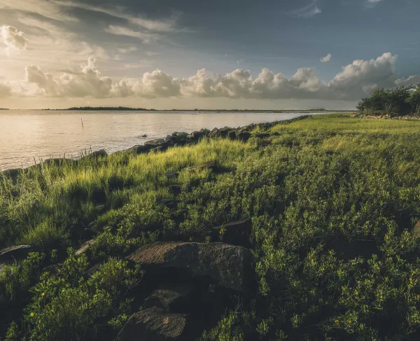 A photograph of Fort Johnson in Charleston County, S.C.