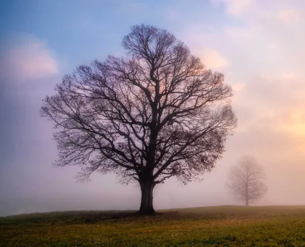 Fredericksburg Battlefield, Va