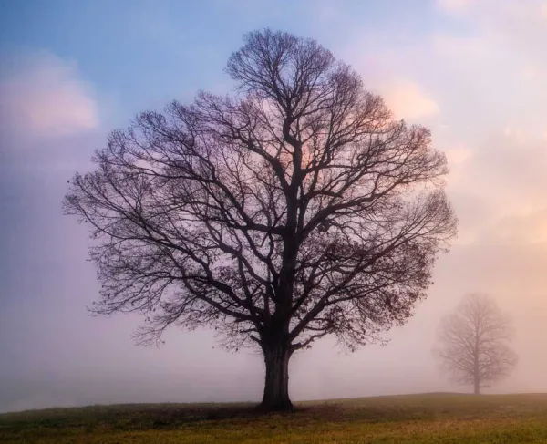 Fredericksburg Battlefield, Va