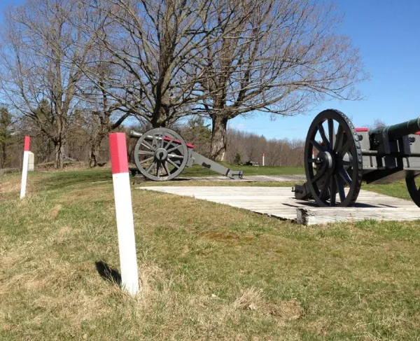 Two historic field cannons stand on wooden platforms in an open grassy area.