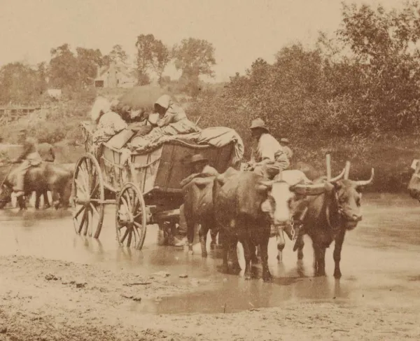 A detail from Timothy H. O'Sullivan's 'Fugitive Negroes, fording Rappahannock'