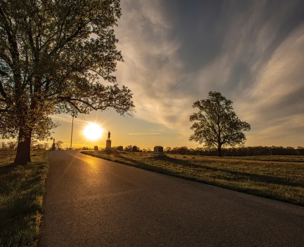 Sun rises and reflects on the pavement of a street flanked with trees and monuments in the distance
