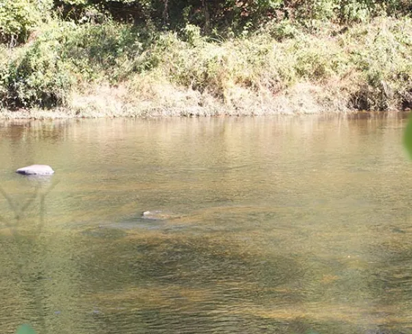 The Rappahannock River at Kelly's Ford Battlefield.