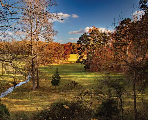 Fall foliage at Kings Mountain National Military Park