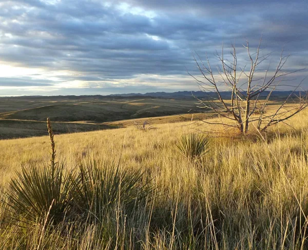 Little Bighorn National Monument, Big Horn County, Mont.