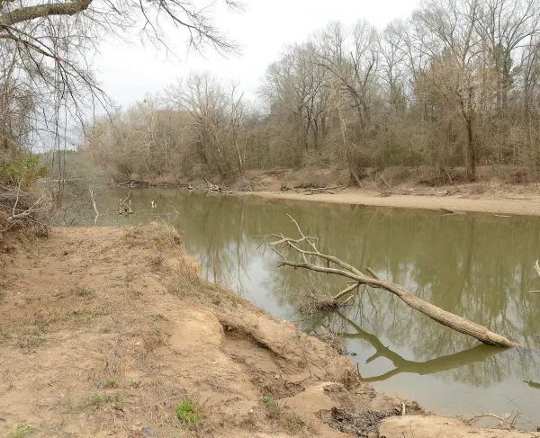 Little Missouri River by Elkin's Ferry