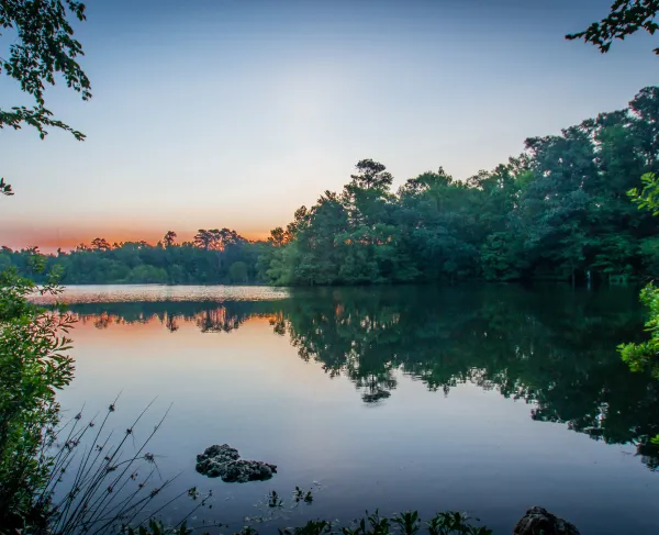 A glimpse at the Eutaw Springs Battlefield.