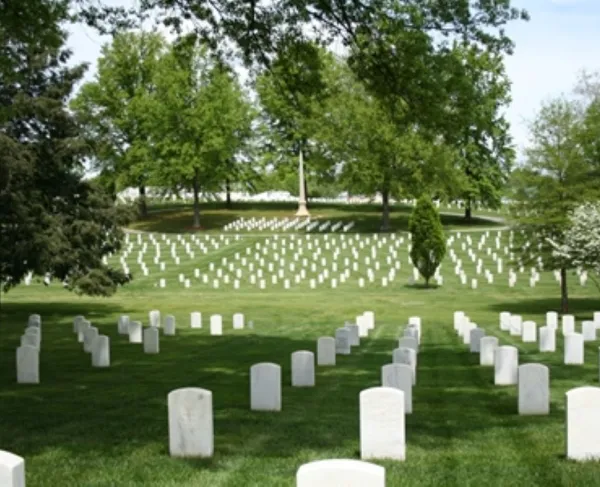 Rows of white headstones stretch across a sloping green lawn, arranged in precise, rows. Tall leafy trees frame the scene, with a stone obelisk rises in the distance