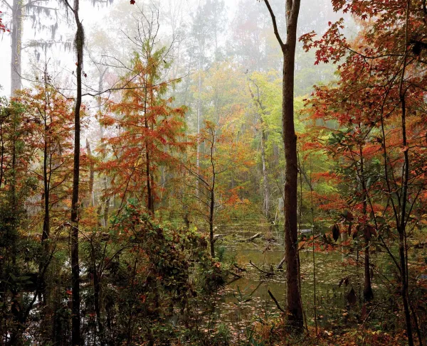 New Bern Battlefield Park, New Bern, N.C.