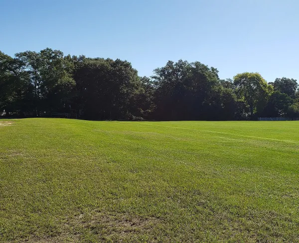 Hobkirk Hill, Camden, S.C.