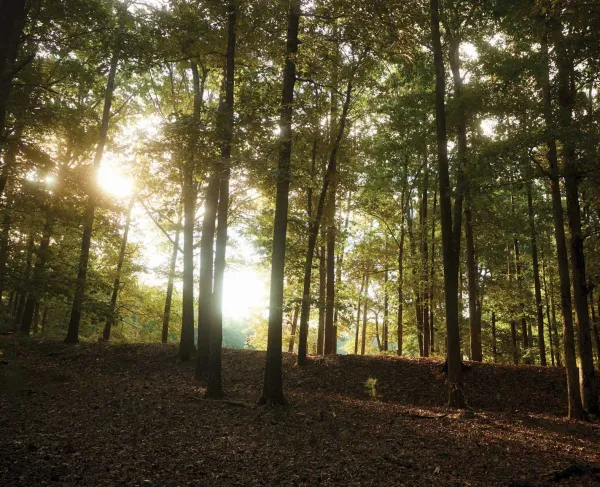 Petersburg Breakthrough Battlefield, Va.