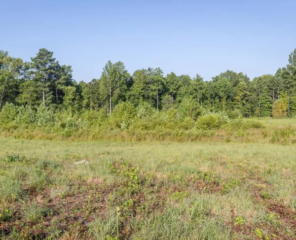 Petersburg National Battlefield, Va.