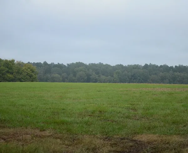 Prairie D'Ane Battlefield