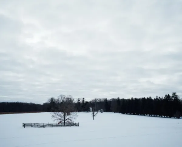 A lone leafless tree stands fenced in the middle of a wide, snow‑covered field beneath a cloudy winter sky.