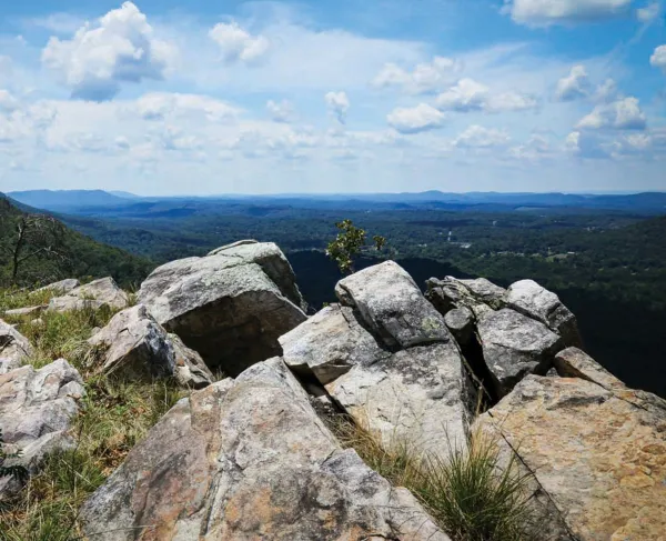 Rocky Face Ridge, Whitfield County, Ga.