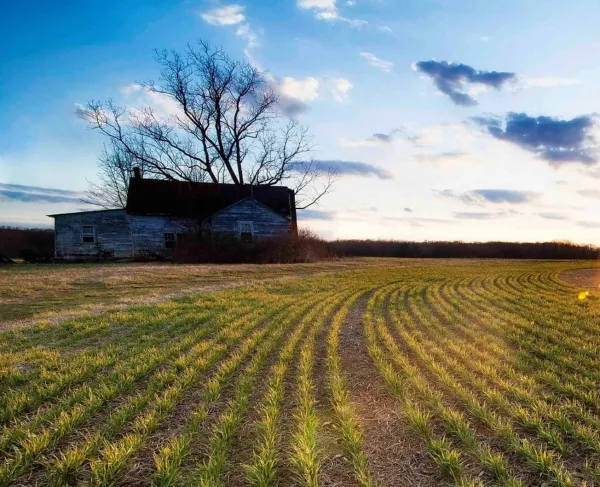 Slaughter Pen Farm Battlefield, Fredericksburg, Va.