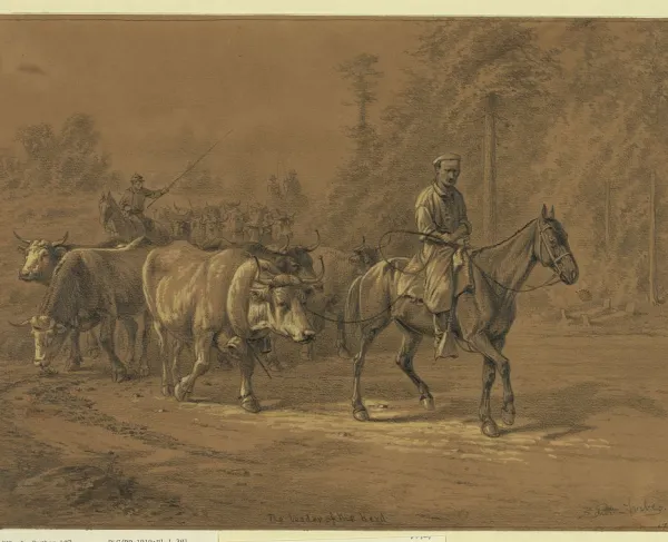 The Leader of the Herd