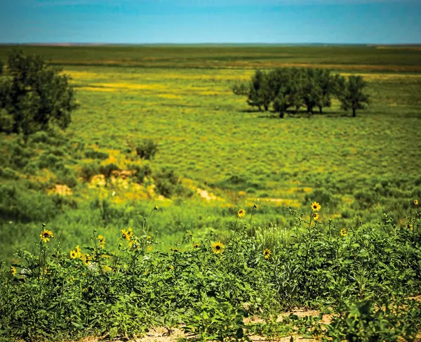 Sand Creek