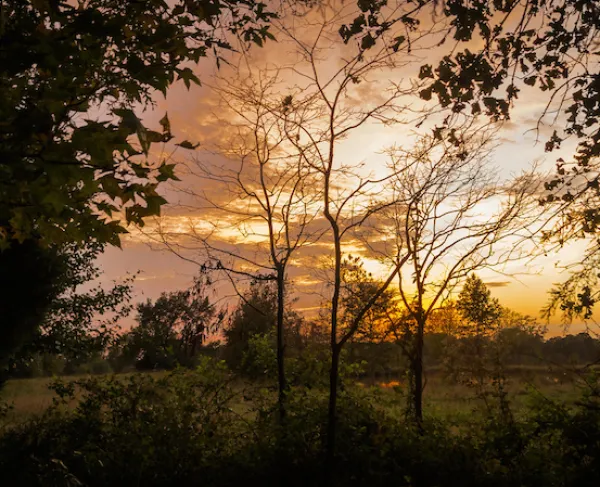 Waxhaws by Brian Keeley