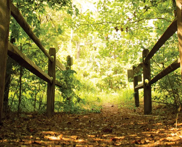 White Oak Road, Dinwiddie County, Va. 