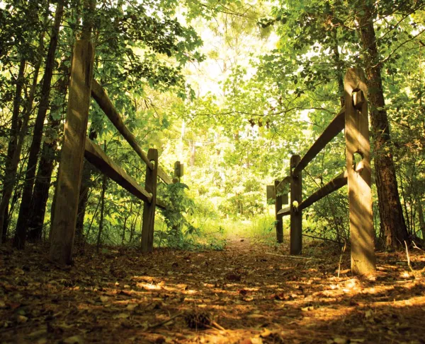 A trail at White Oak Road Battlefield, Dinwiddie County, Va.