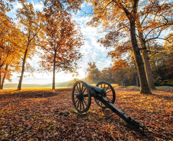 The Wilderness, Spotsylvania and Orange Counties, Va.