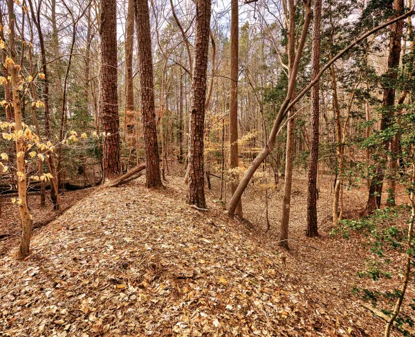 Williamsburg Battlefield