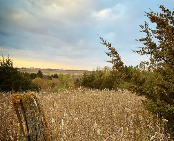 Wood Lake Battlefield