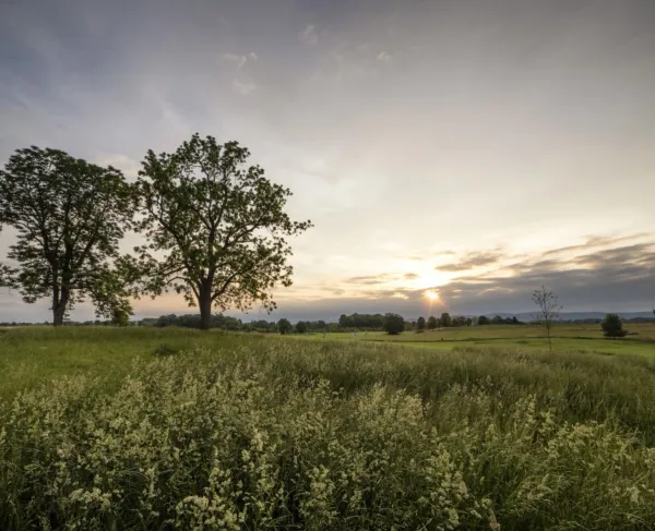 Antietam National Battlefield, Sharpsburg, Md.
