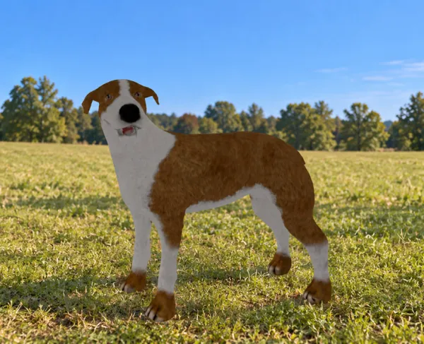 A virtual doggo