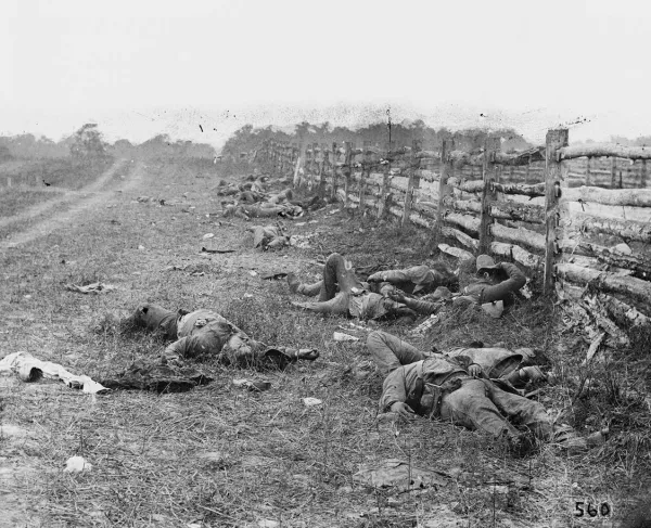 Antietam, Md. Confederate Dead by a Fence on the Hagerstown Road, September 1862. Photograph by Alexander Gardner.