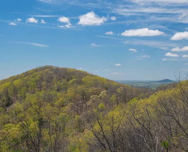Little Kennesaw Mountain at Kennesaw Mountain National Battlefield Park, Ga.