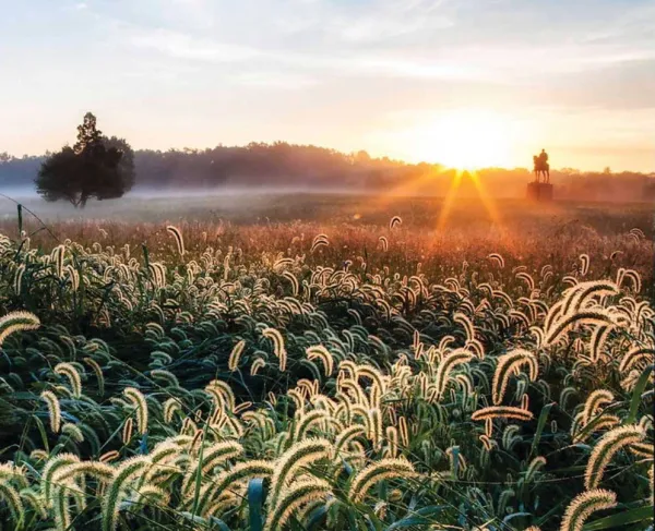 Manassas National Battlefield Park, Va.