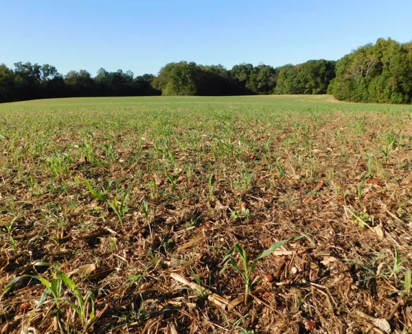 Second Deep Bottom Battlefield, Henrico County, Va.
