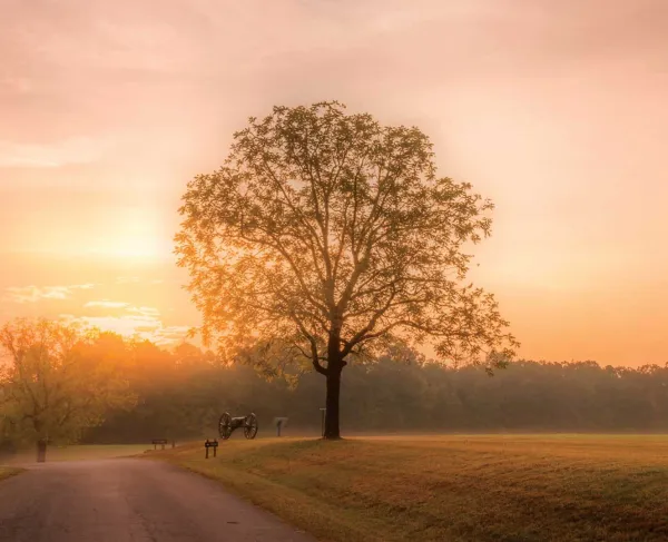 Shiloh National Military Park, Tenn.