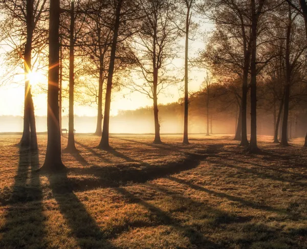 Saunders Fields, Wilderness Battlefield, Fredericksburg and Spotsylvania National Battlefield Park, Va.