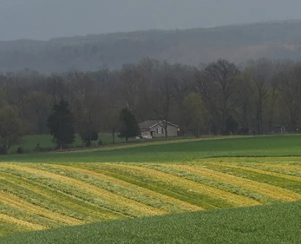 This is a landscape image of the Cross Keys battlefield on a cloudy, misty day. 