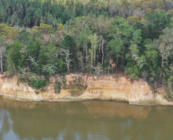 Blakeley Bluff property. Photo by Keith West.