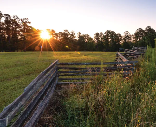 Honeycutt Hill at Mansfield Battlefield