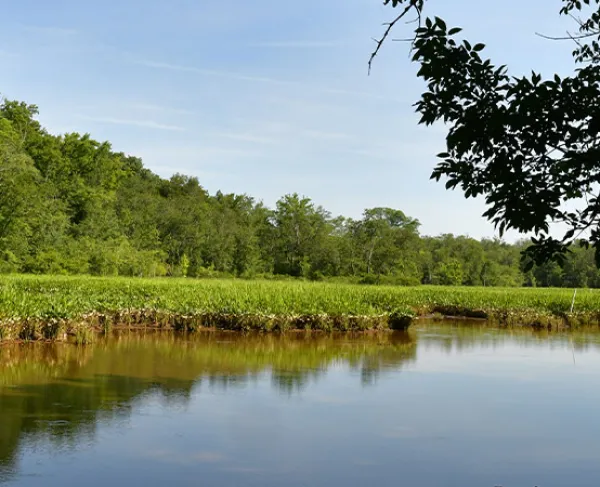 First Deep Bottom Battlefield