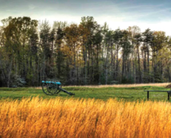 Hazel Grove, Chancellorsville Battlefield, Spotsylvania County, Va.