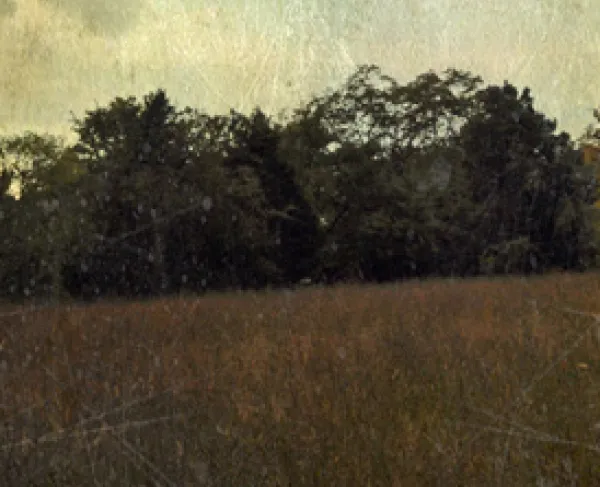 Stones River National Battlefield, Murfreesboro, Tenn. - Violet Crabb