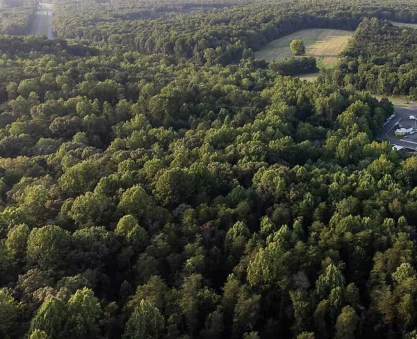 The Wilderness Battlefield, Spotsylvania County, Va.
