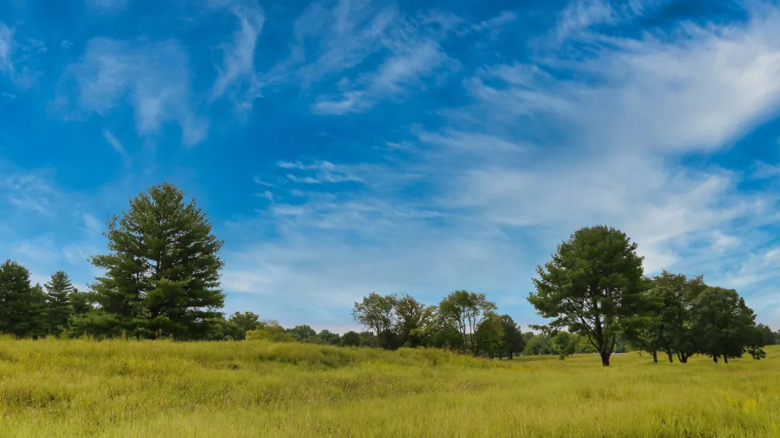 Franklin Battlefield, Tenn.
