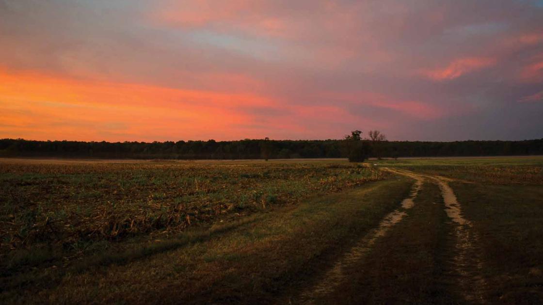 Sunset at Slaughter Pen Farm, Fredericksburg, Va.