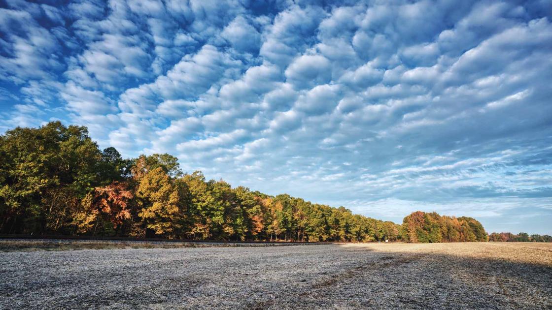 Near the railroad track, Slaughter Pen Farm, Fredericksburg, Va.