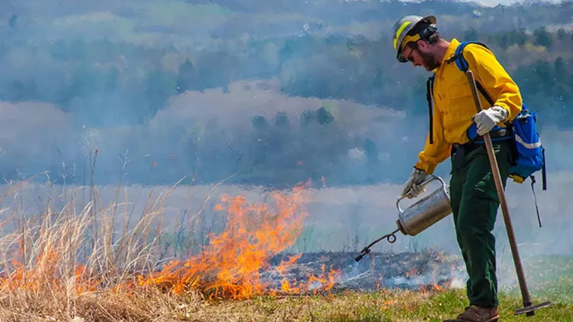 Prescribed fire at Saratoga National Historical Park in New York.