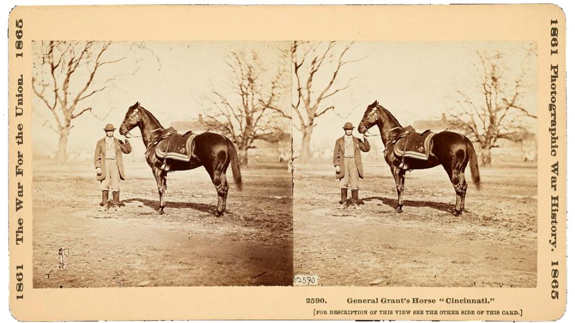 Stereograph showing a man holding the reins of one of General U.S. Grant's favorite horses, "Cincinnati", at City Point, Virginia.