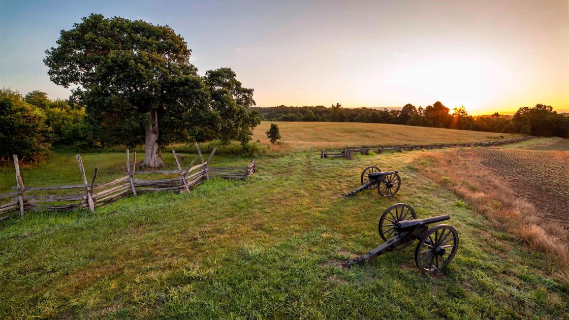 Cannons and a split-rail fence on the Cedar Mountain Battlefield