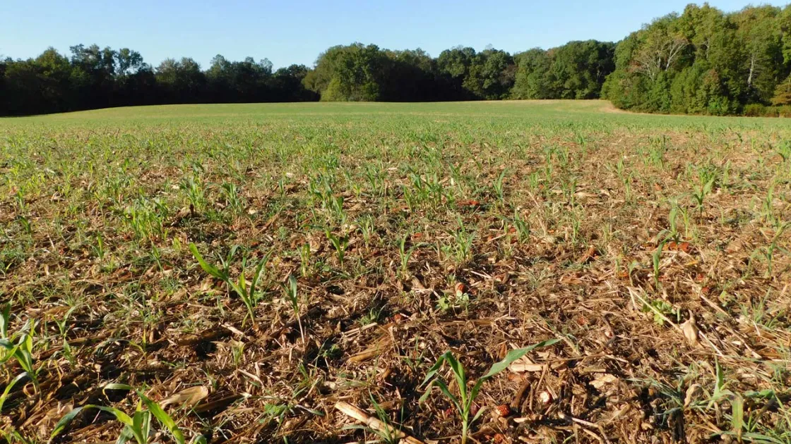 Second Deep Bottom Battlefield, Henrico County, Va.